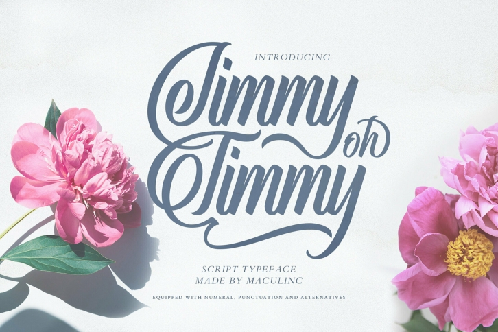 Jimmy Oh Timmy Font Font Download