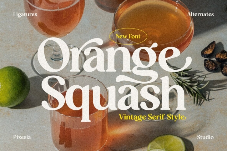Orange Squash Font Font Download