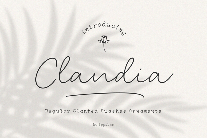 Clandia Font Font Download