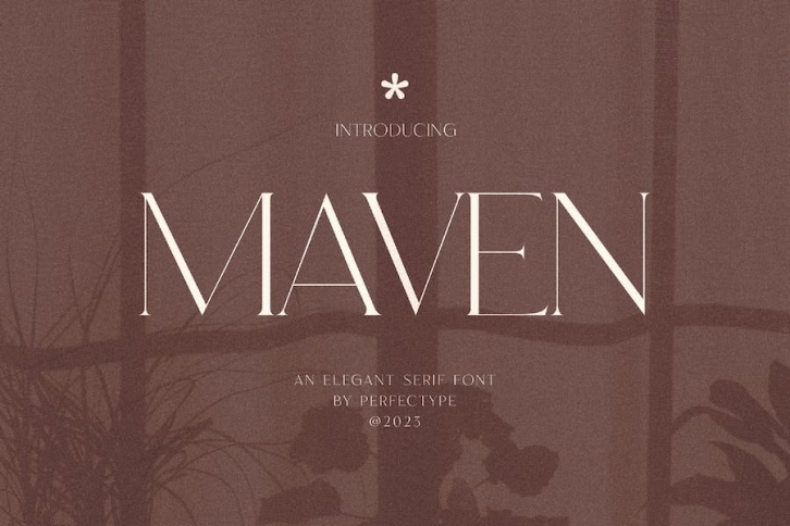 Maven Elegant Serif Font Typeface Font Download