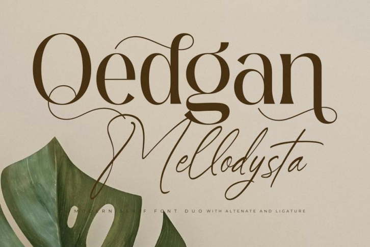 Qedgan Mellodysta Font Duo Font Download