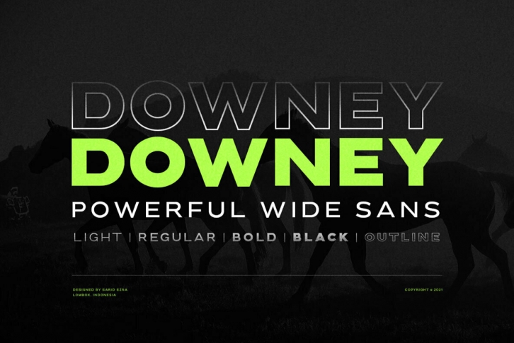 Downey Font Font Download