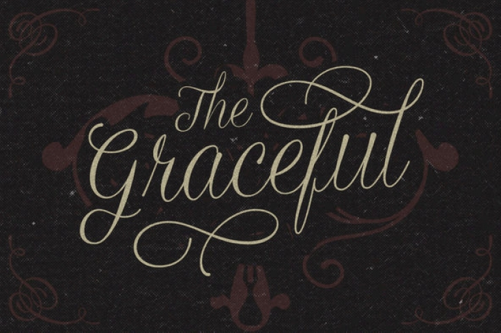 Graceful Font Font Download