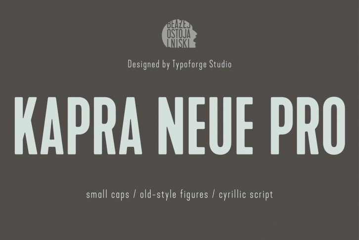 Kapra Neue Pro Font Font Download