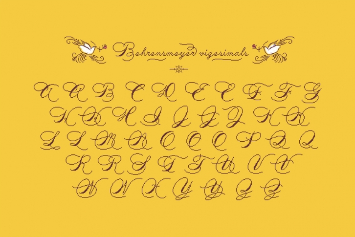 Behrensmeyer Vigesimals Font Font Download