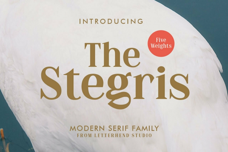 The Stegris Font Font Download