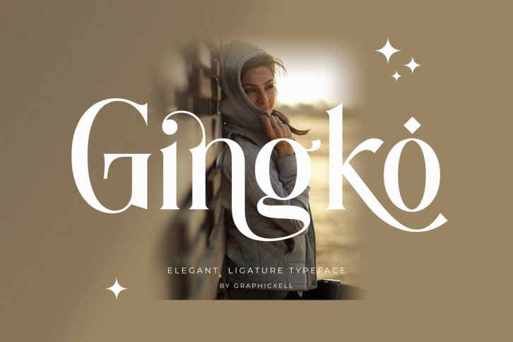 Gingko Font Font Download