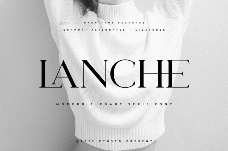 Lanche Font Font Download