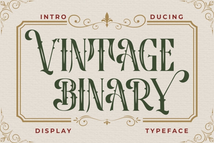 Vintage Binary Font Font Download