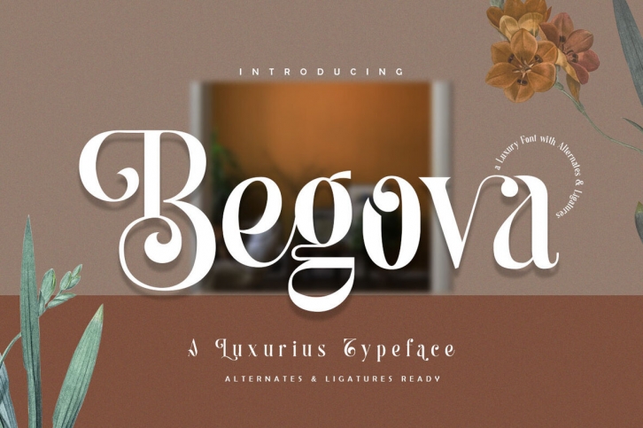 Begova Font Font Download