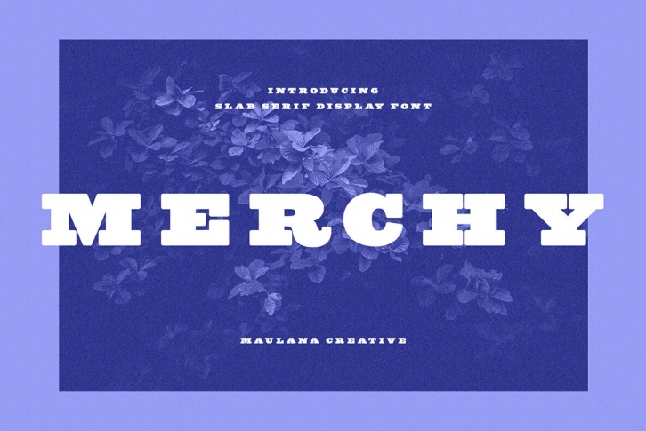 Merchy Font Font Download