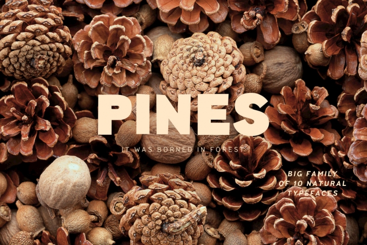 Pines Font Font Download