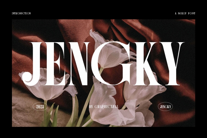 Jengky Font Font Download