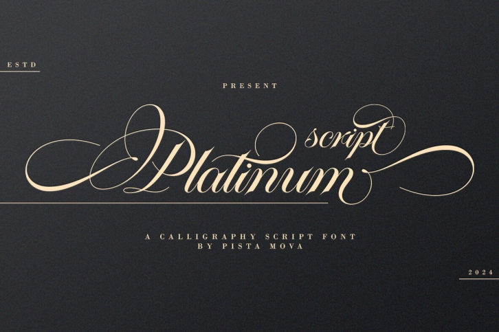 Platinum Script Font Font Download