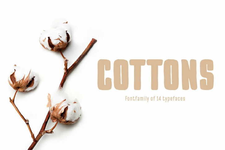 Pinatas Cottons Font Font Download