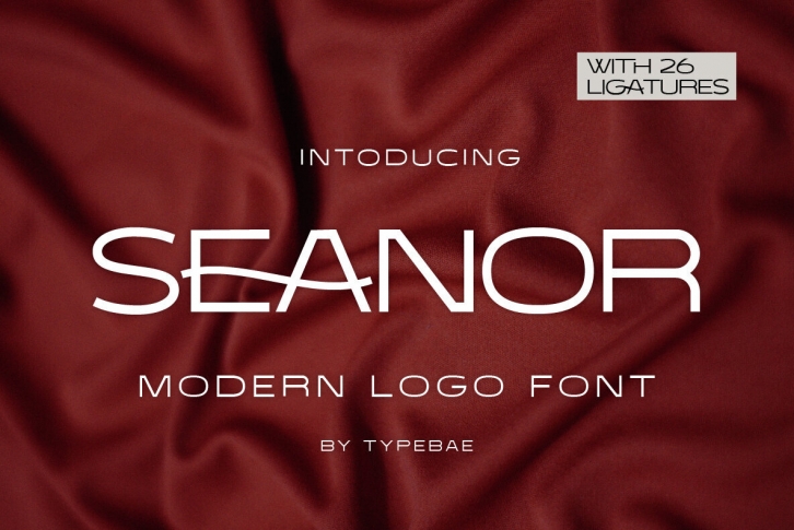 Seanor Font Font Download