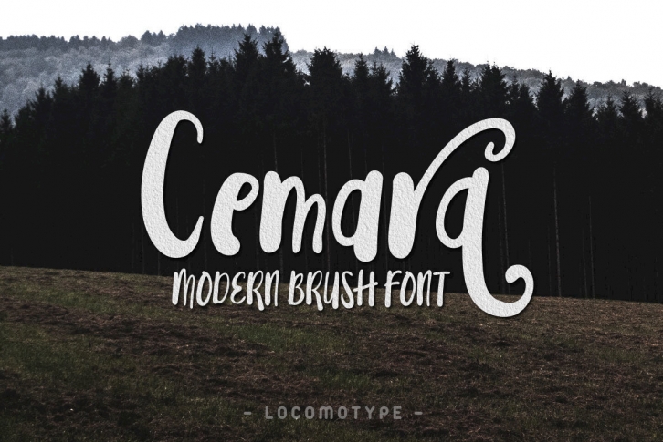 Cemara Font Font Download