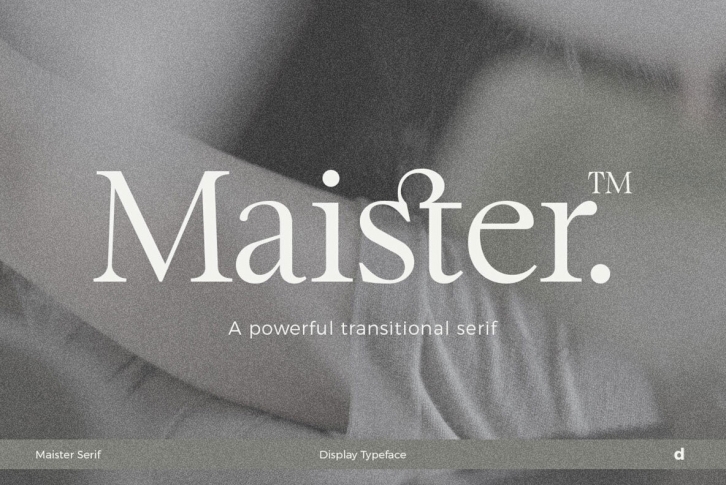 Maister Font Font Download