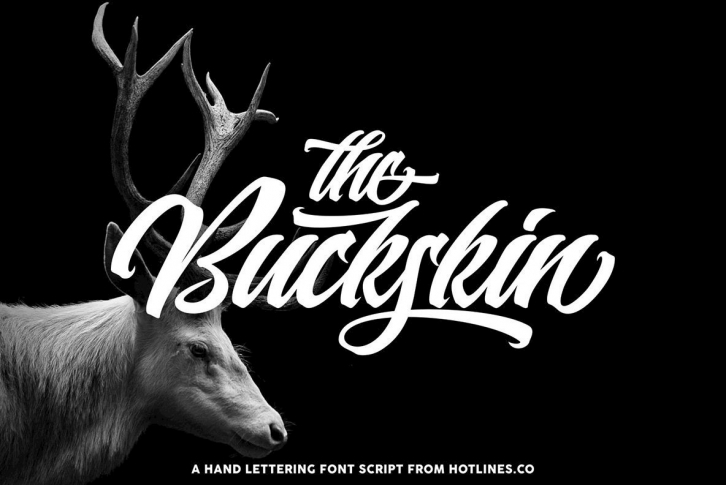 Buckskin Font Font Download