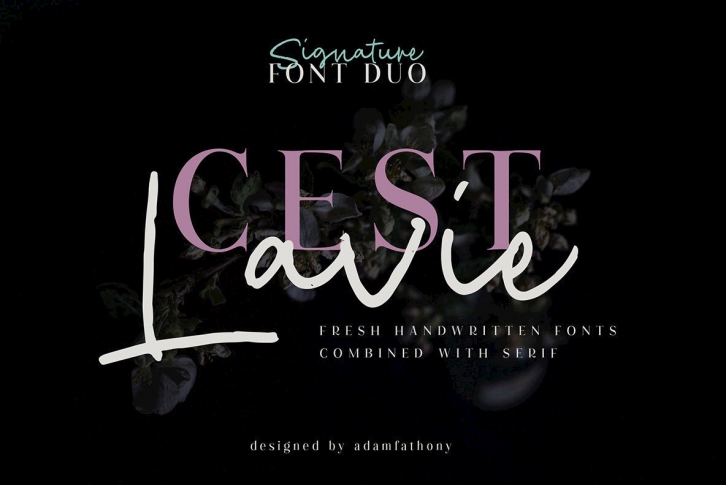 Cest Lavie Duo Font Download