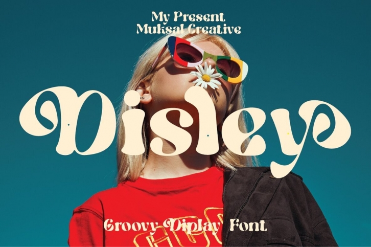 Disley Font Font Download