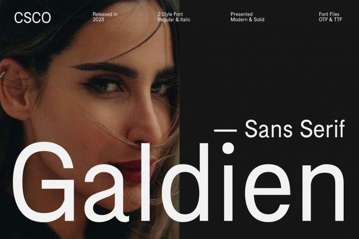 Galdien Font Font Download