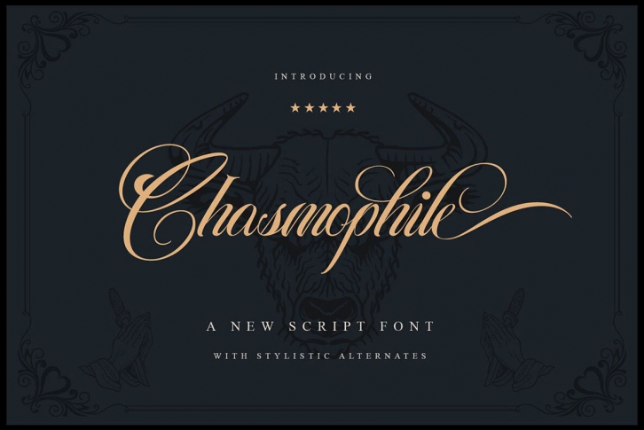 Chasmophile Font Font Download