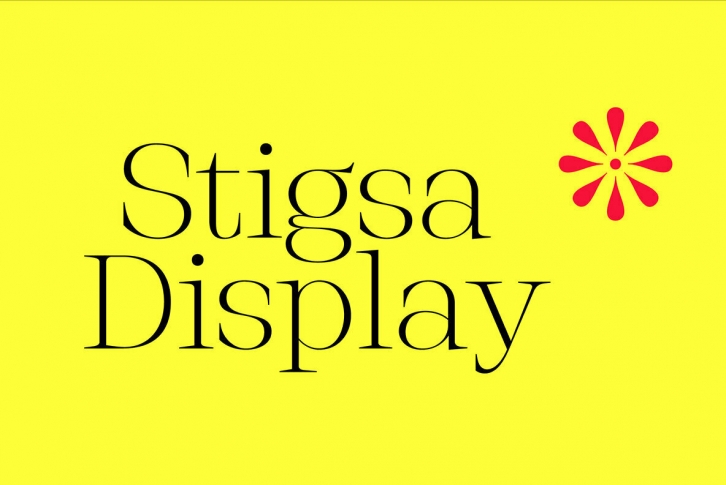 Stigsa Display Font Font Download