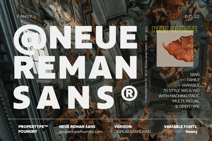 Neue Reman Sans Font Font Download