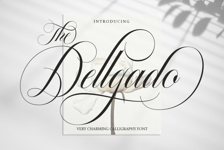 The Dellgado Font Font Download