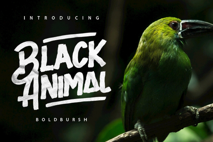 Black Animal Font Font Download