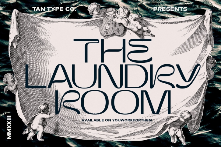 TAN THE LAUNDRY ROOM Font Font Download