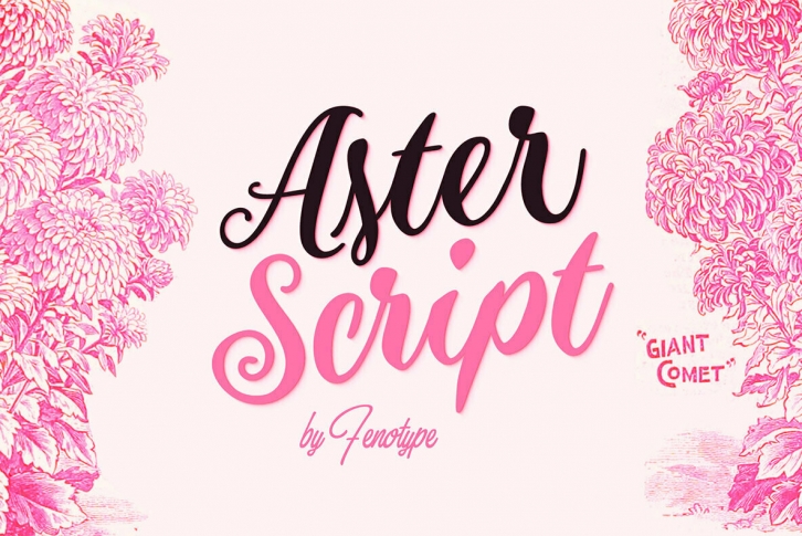 Aster Script Font Font Download