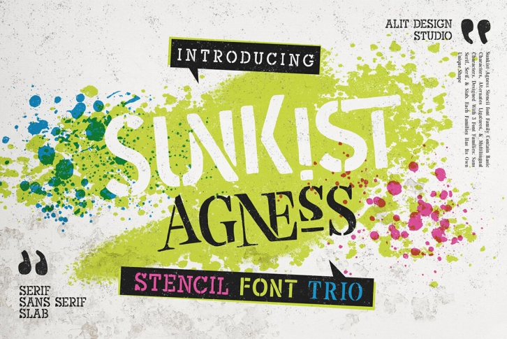 Sunkist Agness Font Font Download