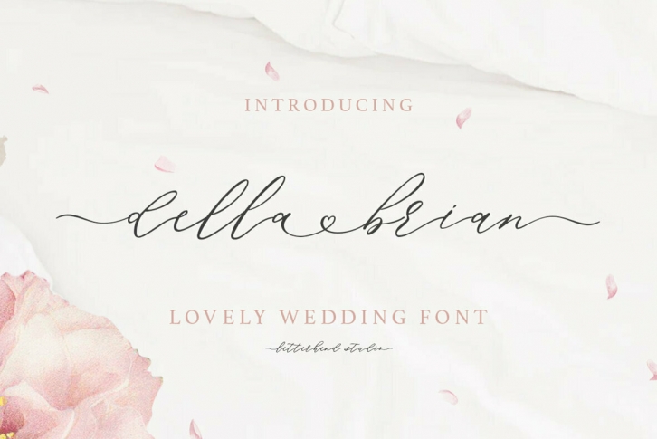 Della Brian Font Font Download