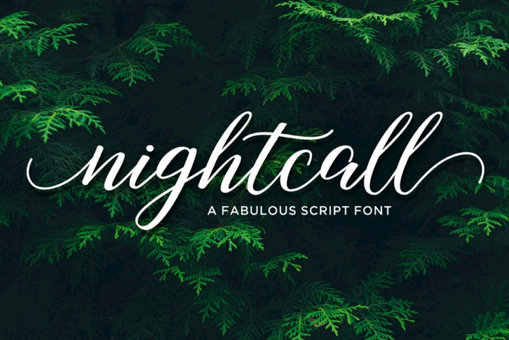 Nightcall Script Font Font Download