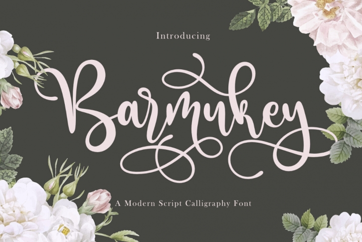 Barmukey Font Font Download