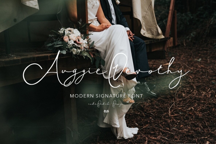 Auggie Devothy Font Font Download