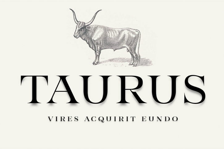 Taurus Font Font Download