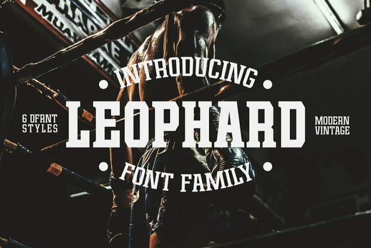 Leophard Font Font Download