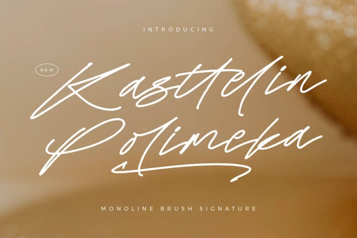 Kasttelin Polimeka Monoline Brush Signature Font Font Download