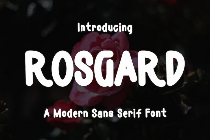 Rosgard Manuscript  Font Font Download