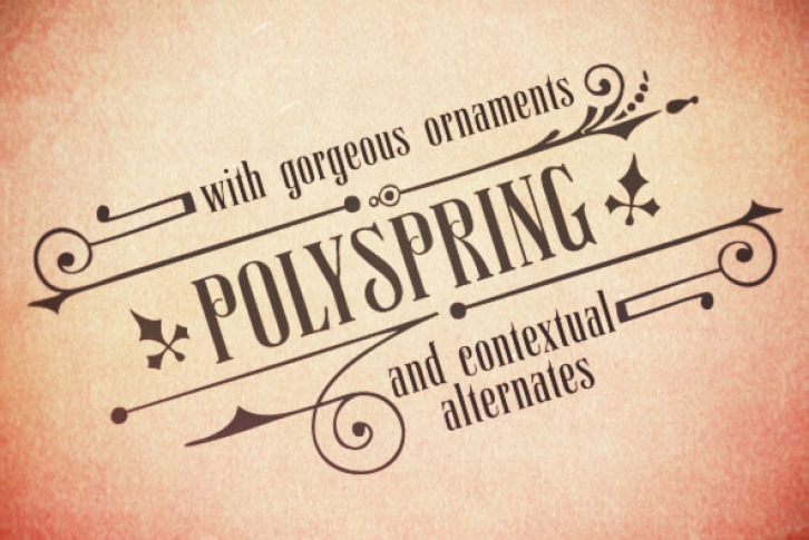 Polyspring Font Font Download