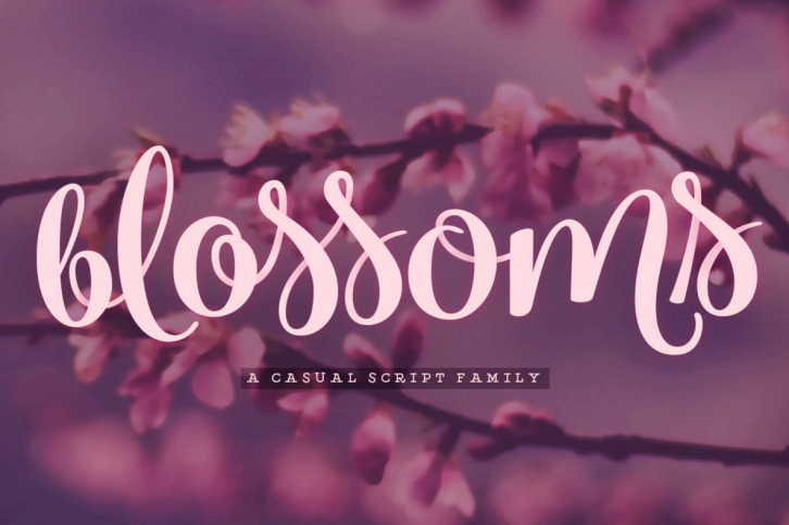 Blossoms Font Font Download