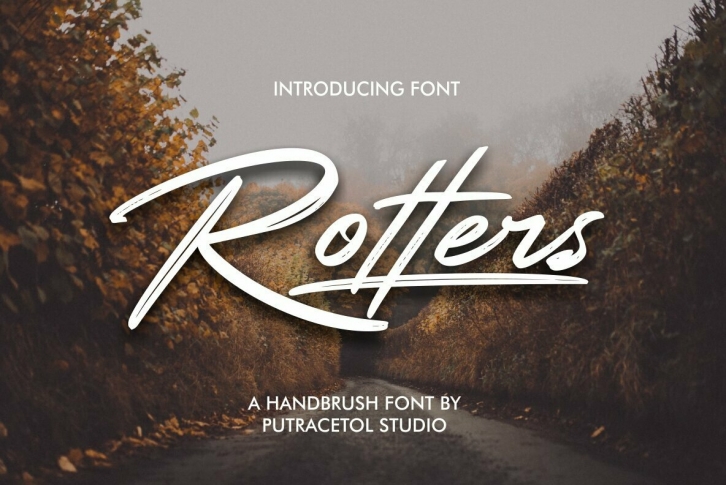 Rotters Font Font Download