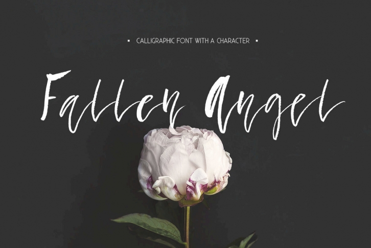 Fallen Angel Font Font Download