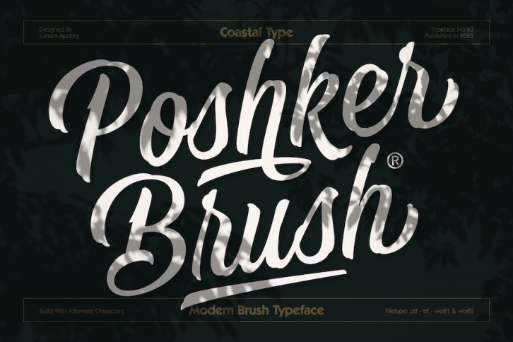 Poshker Brush Font Download