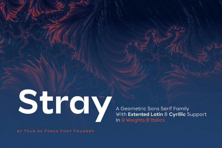 Stray Font Font Download