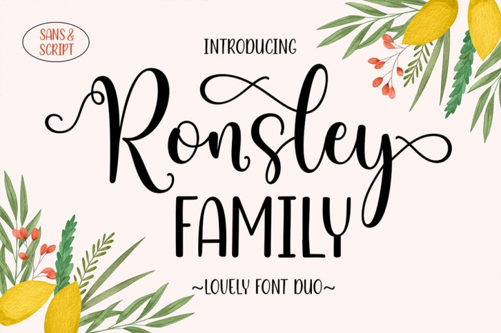 Ronsley Family Font Font Download