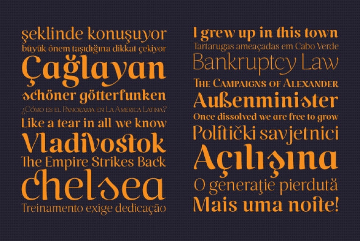 Caturrita Display Font Font Download